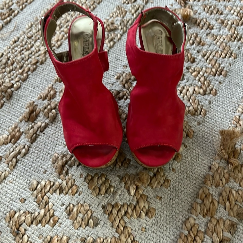 Carlos Santana Platforms